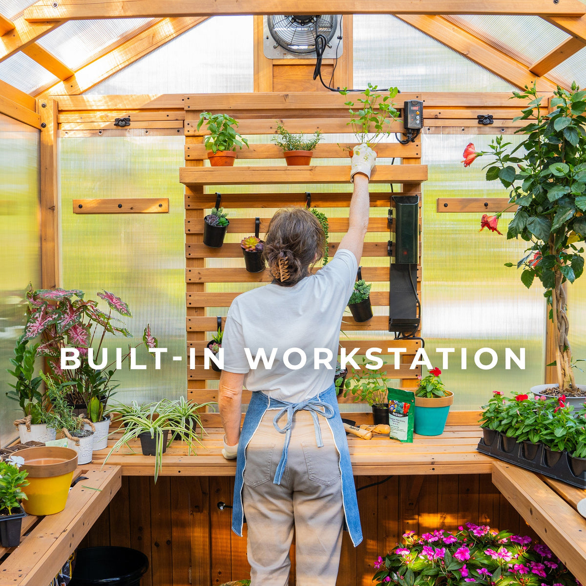 11x7 Bellerose Greenhouse