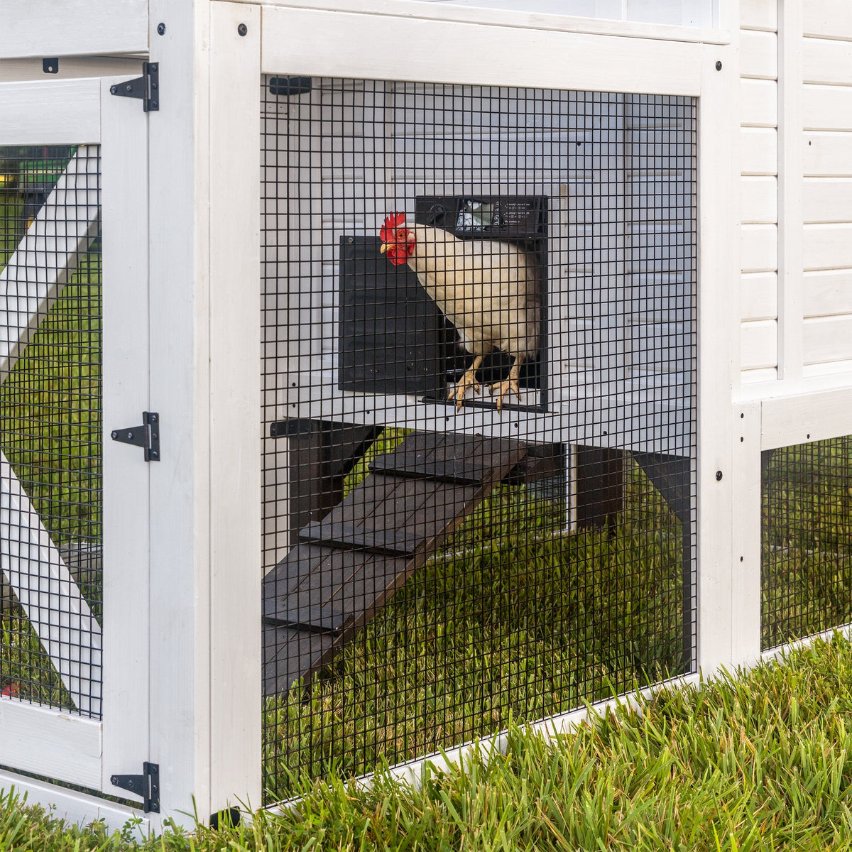 Sweetwater Chicken Coop
